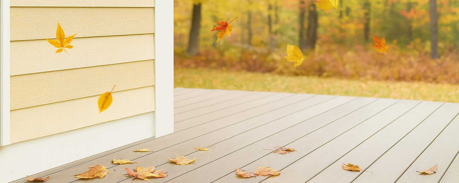 News Titel Herbstbild web