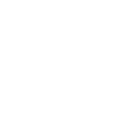 icon-weiss-schichtholz