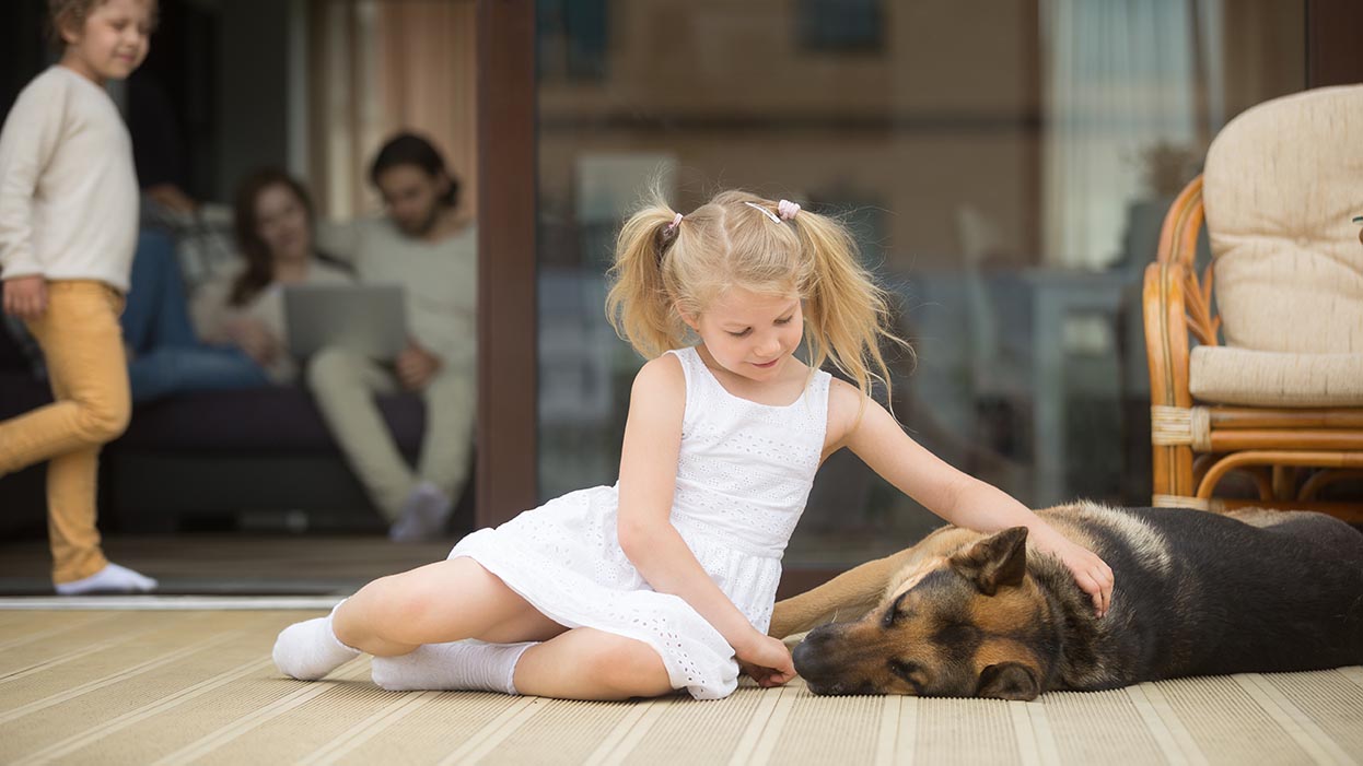 stock-terrasse-kinder-hund